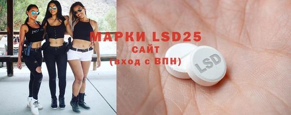 шишки Снежногорск