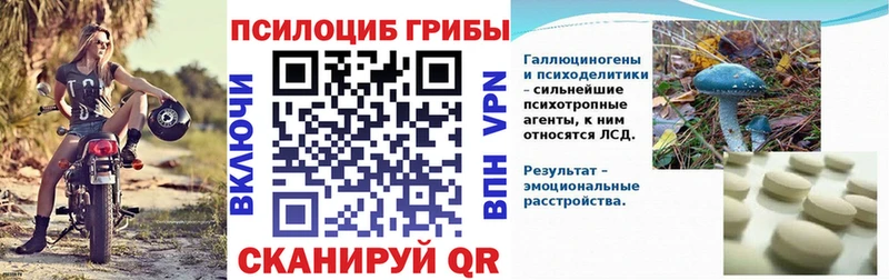 Галлюциногенные грибы мицелий  Купить  Югорск 